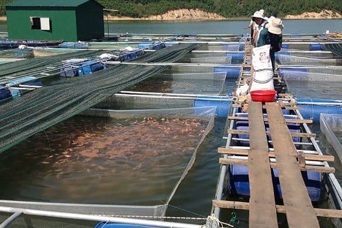 Lấn chiếm diện tích mặt nước quá nhiều để nuôi trồng thủy sản có thể bị phạt nặng. Ảnh: Minh họa.
