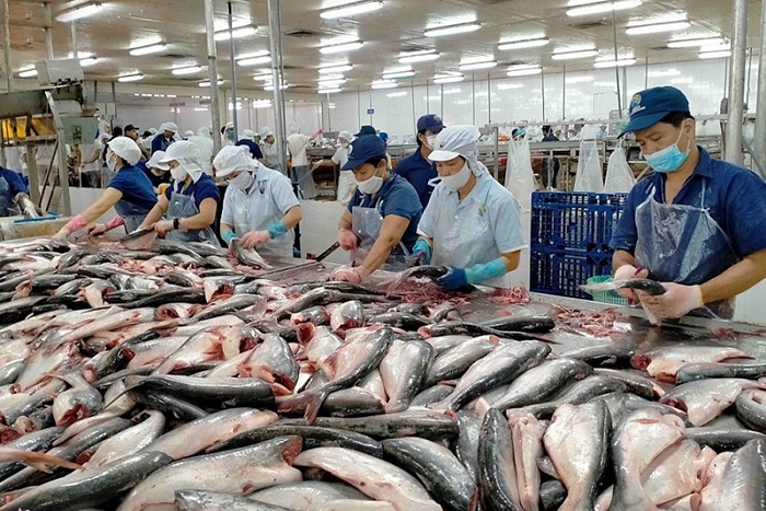 Xuất khẩu cá tra.