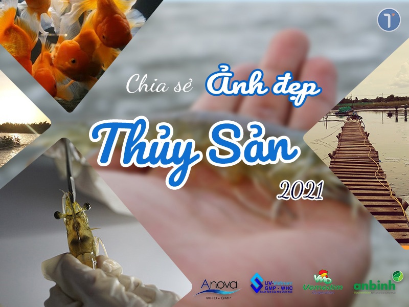 Cuộc thi Ảnh đẹp Thủy Sản 2021