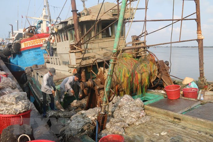 Cảng cá Tan Phước