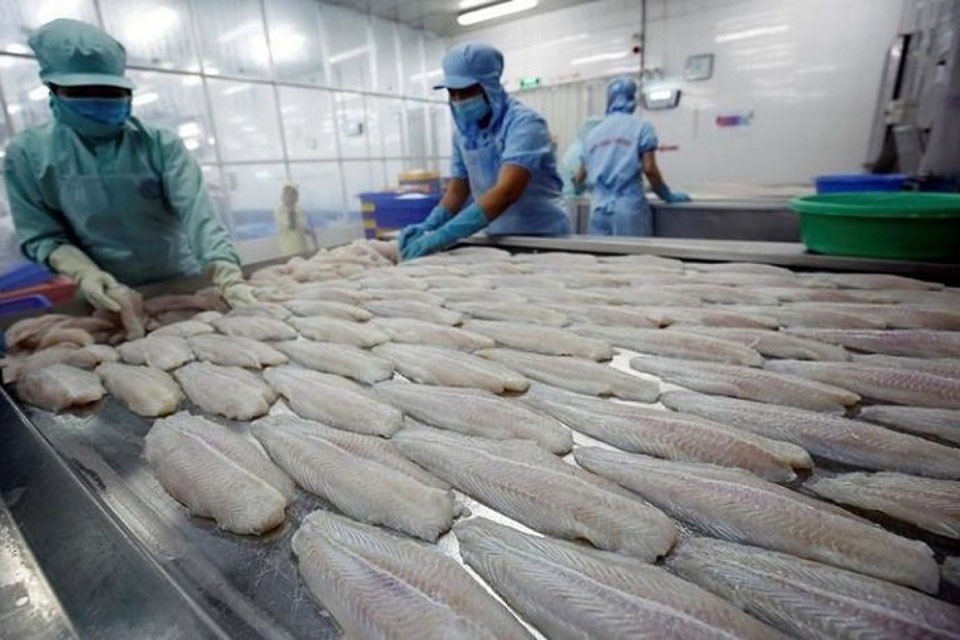 chế biến cá tra