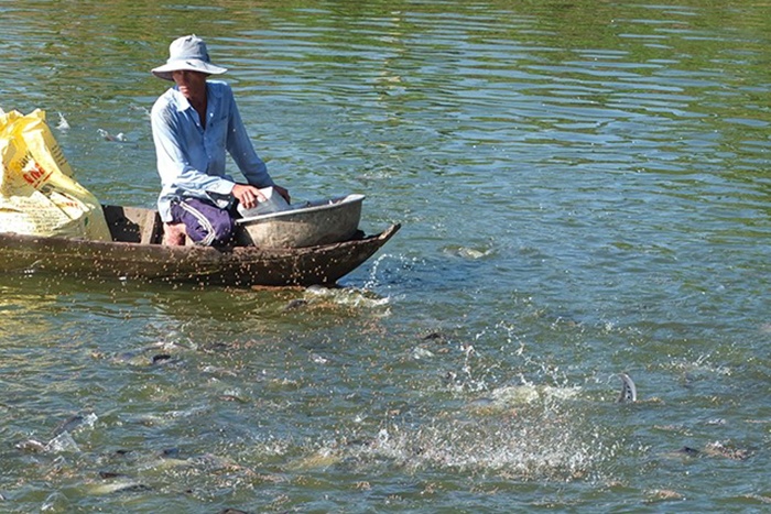 Nuôi trồng thủy sản.