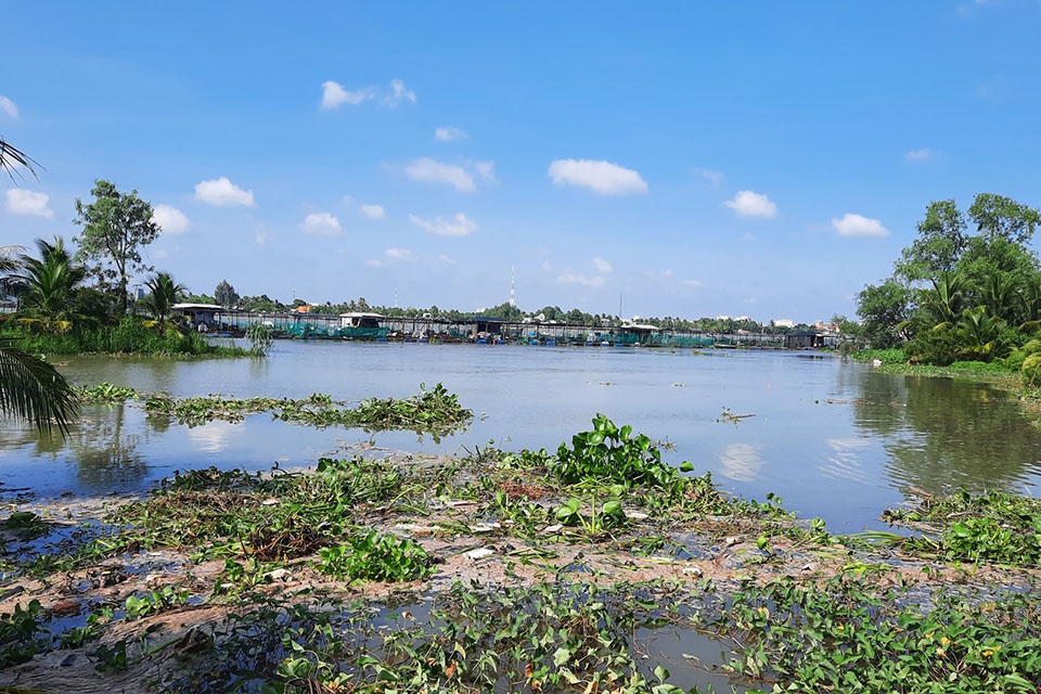 sạt lở sông cổ Chiên