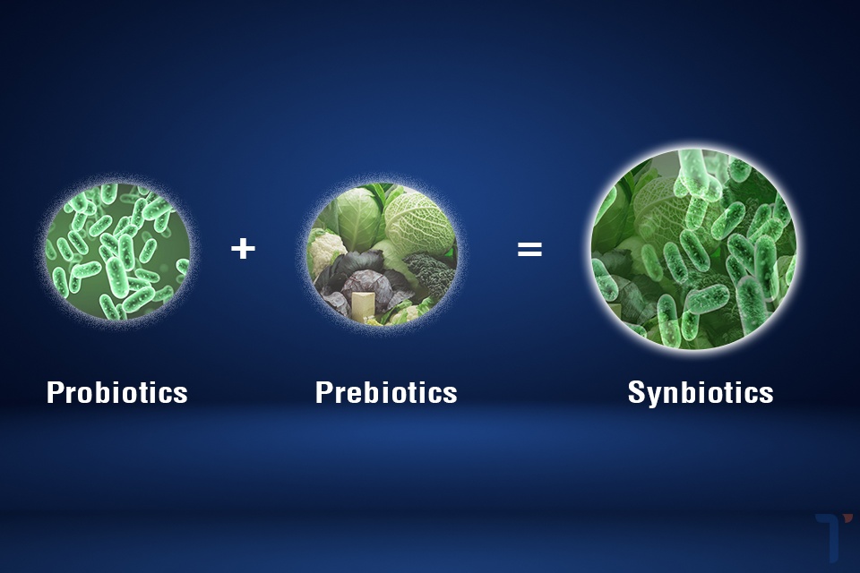 Tóm Lại, Synbiotics Là Probiotics Và Prebiotics?