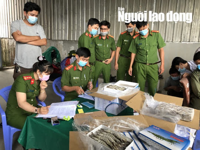 tôm sú bơm agar
