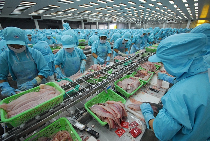 Xuất khẩu cá tra.