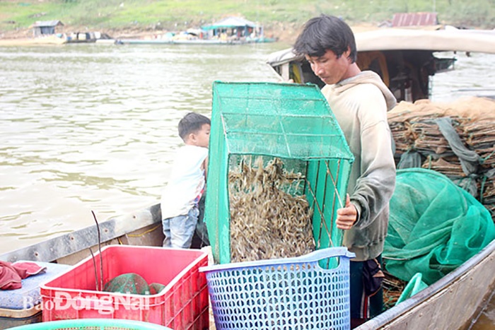 bắt cá hồ Trị An