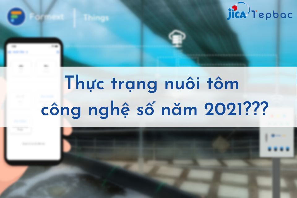 Thực trạng nuôi tôm công nghệ số năm 2021.