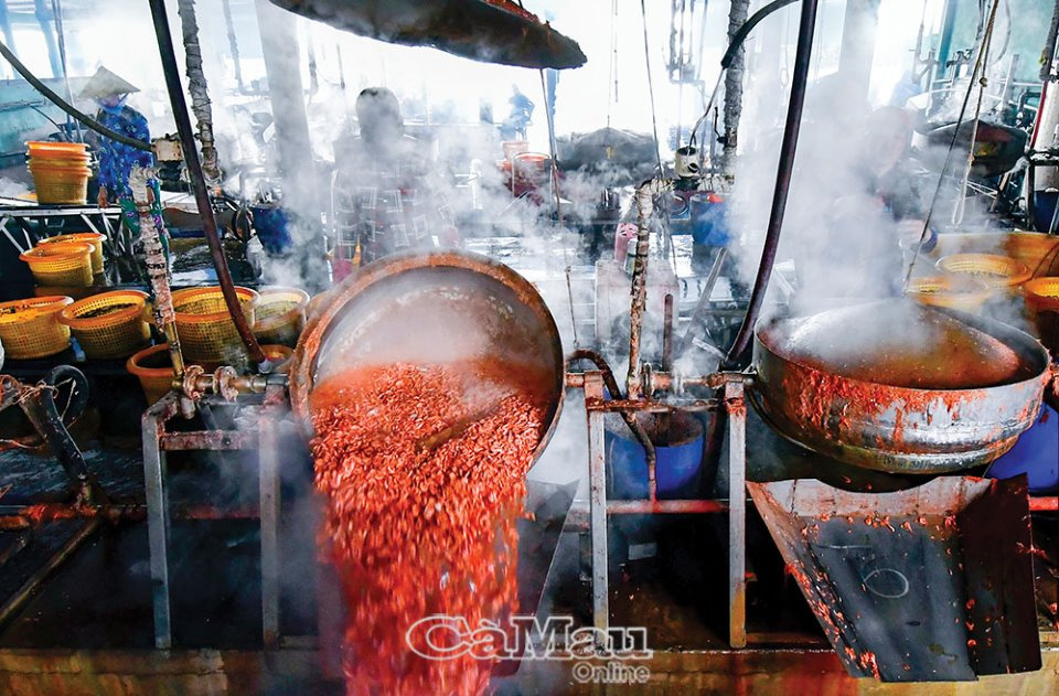 chế biến tôm khô