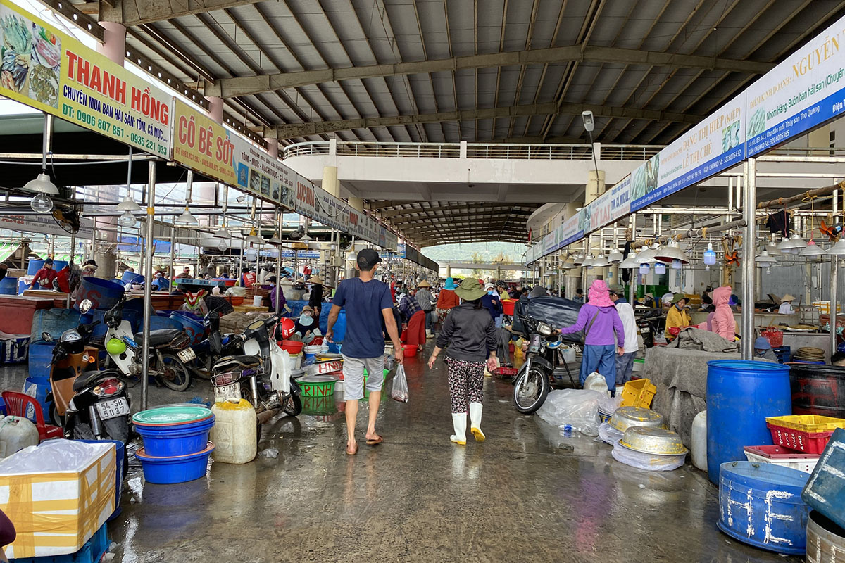 cảng cá thọ quang