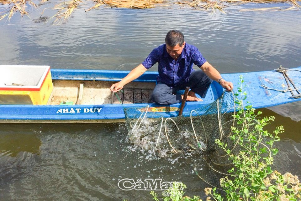 nuôi tôm quảng canh