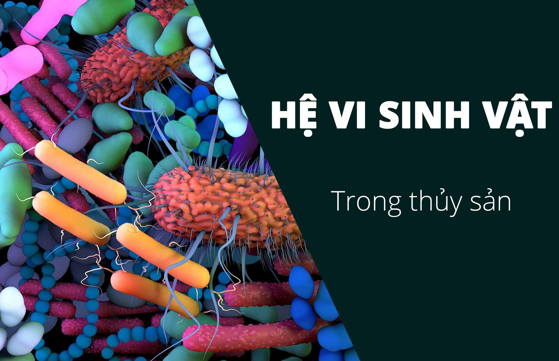 hệ vi sinh vật