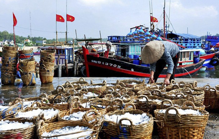 Cảng cá Đà Nẵng