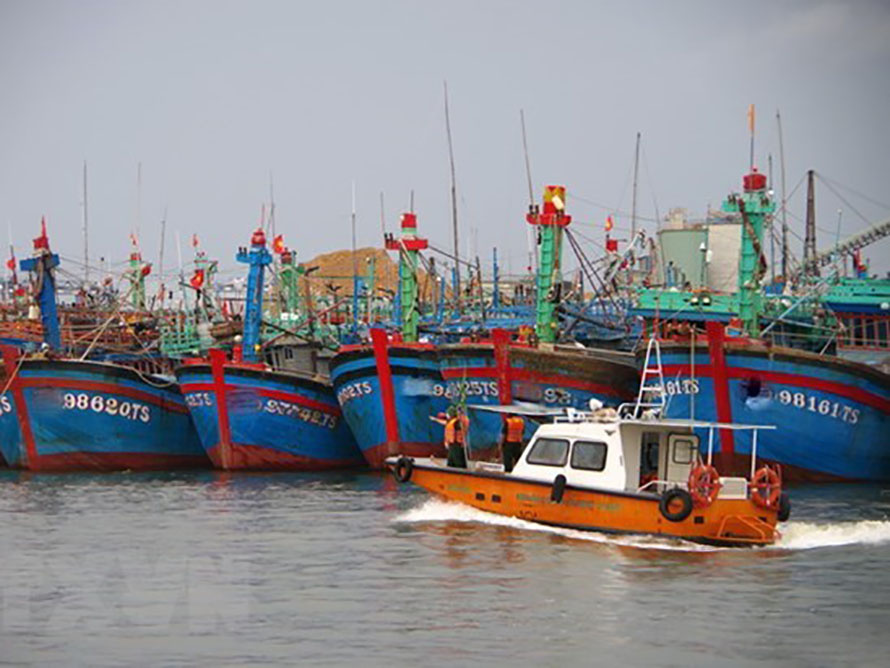 Bình Thuận nghiêm cấm tàu, thuyền ra khơi từ 6 giờ ngày 26/10