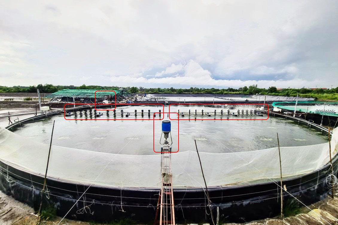 tự động hóa nuôi tôm