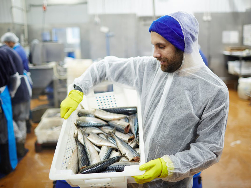 Dự án biến chất thải từ chế biến cá thành nhựa sinh học