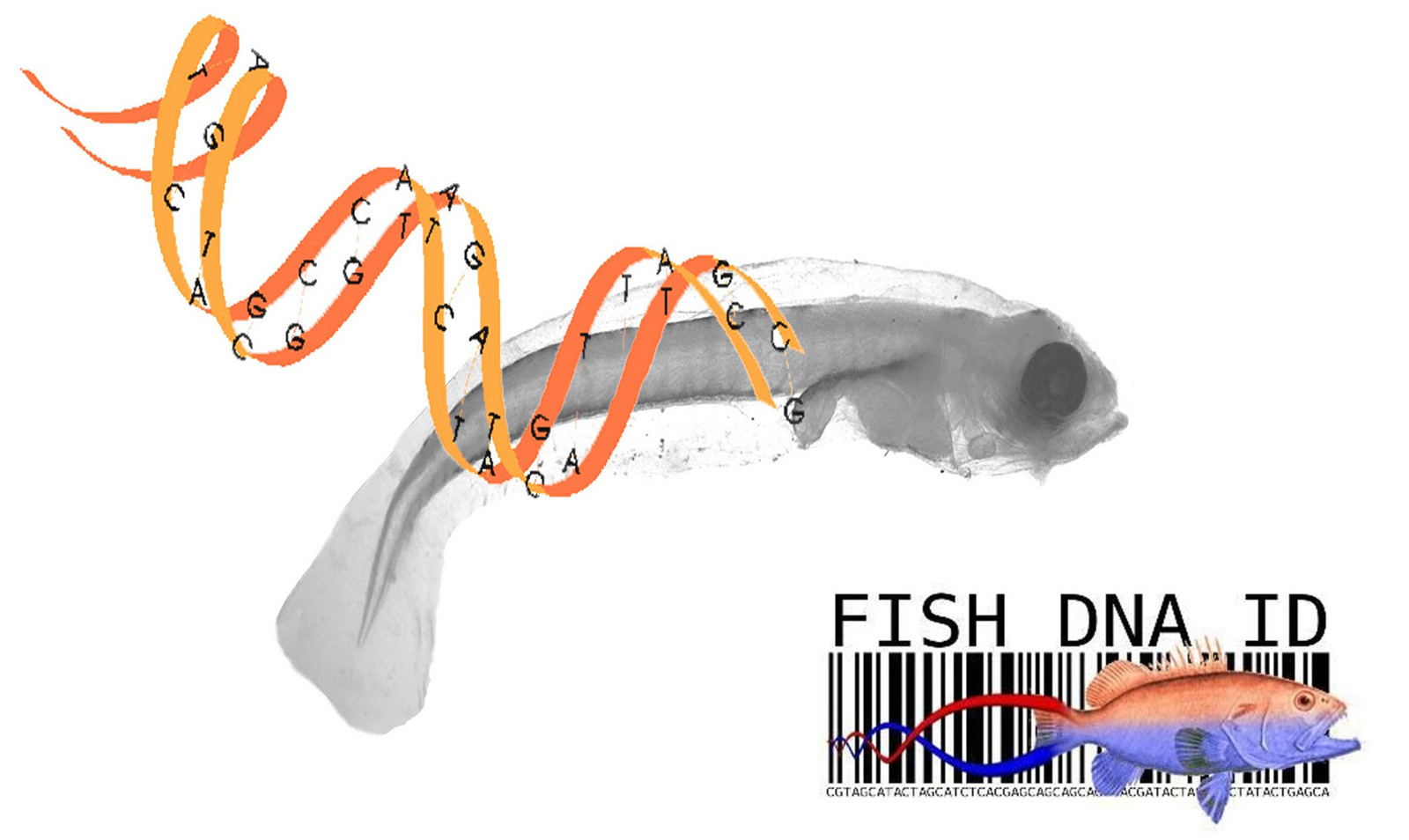 mã vạch DNA