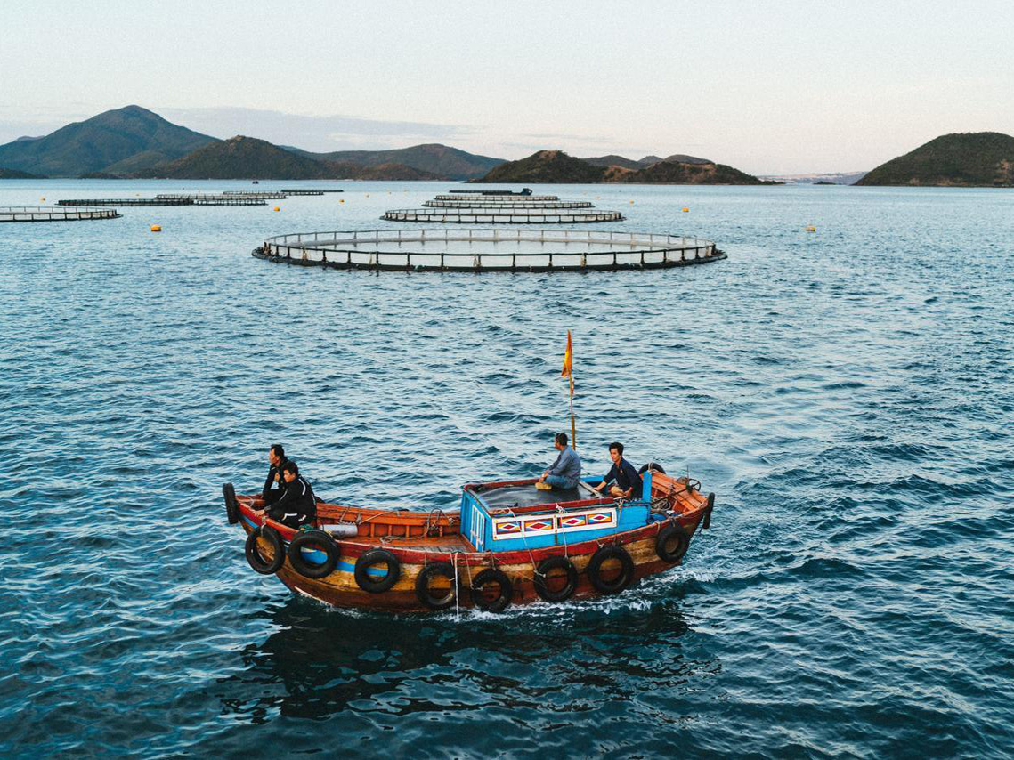 nuôi cá chẽm công nghệ cao