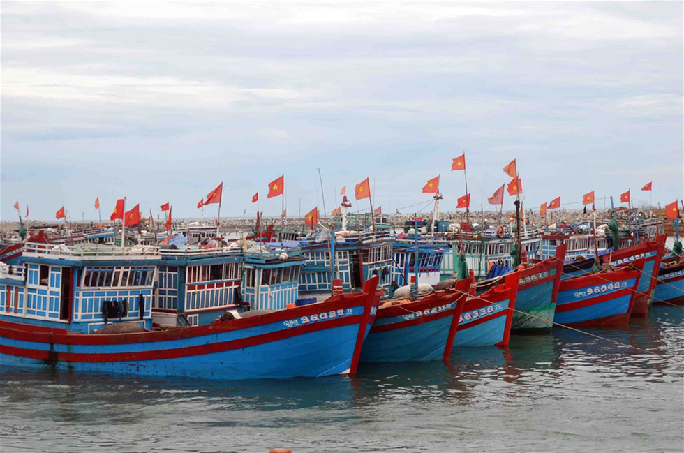 tàu thuyền tránh bão