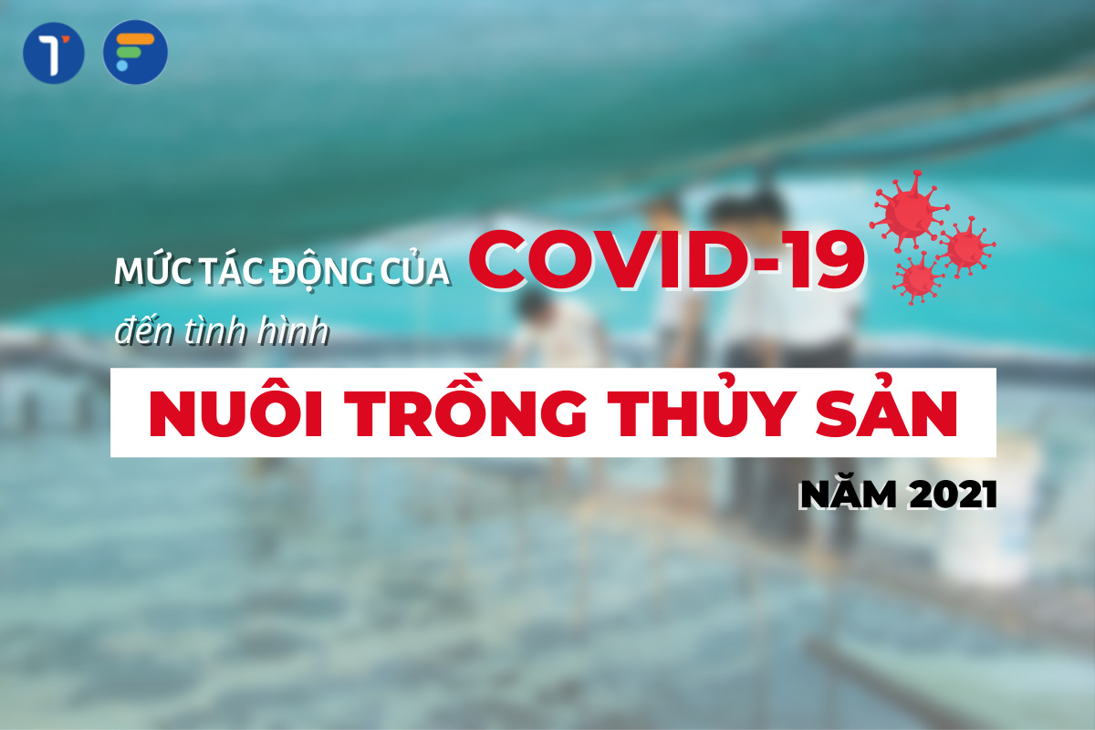 Khảo sát tác động của Covid-19