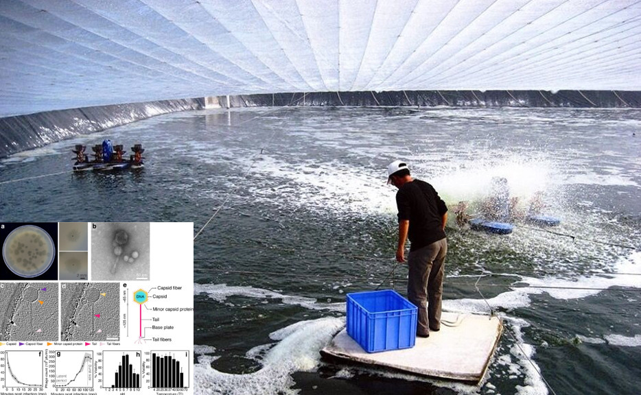 ứng dụng công nghệ