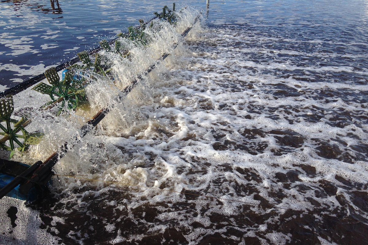 độ độc trong nước