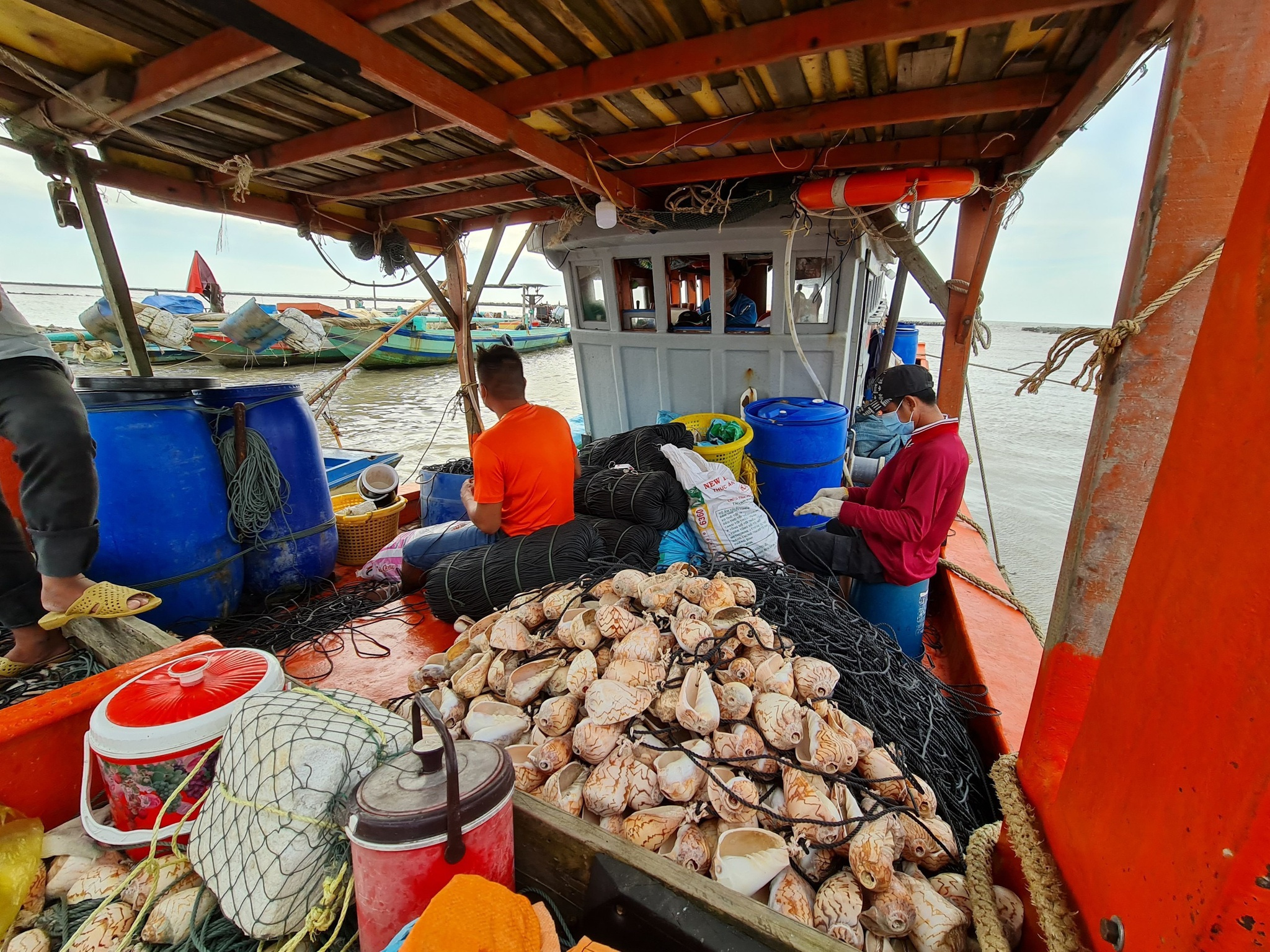 ốc bẫy mực