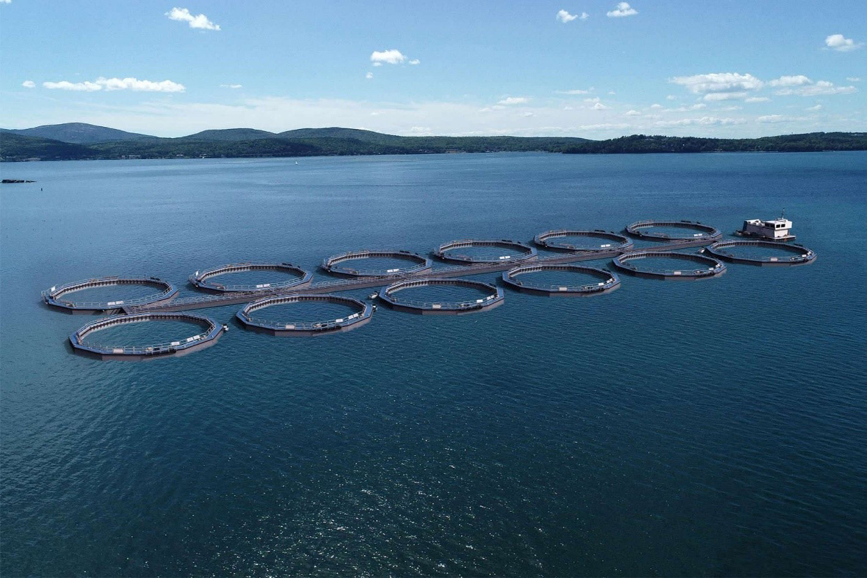 trang trại nuôi cá hồi