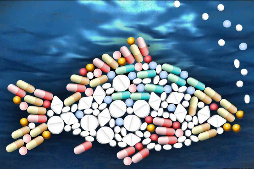 kháng sinh thủy sản