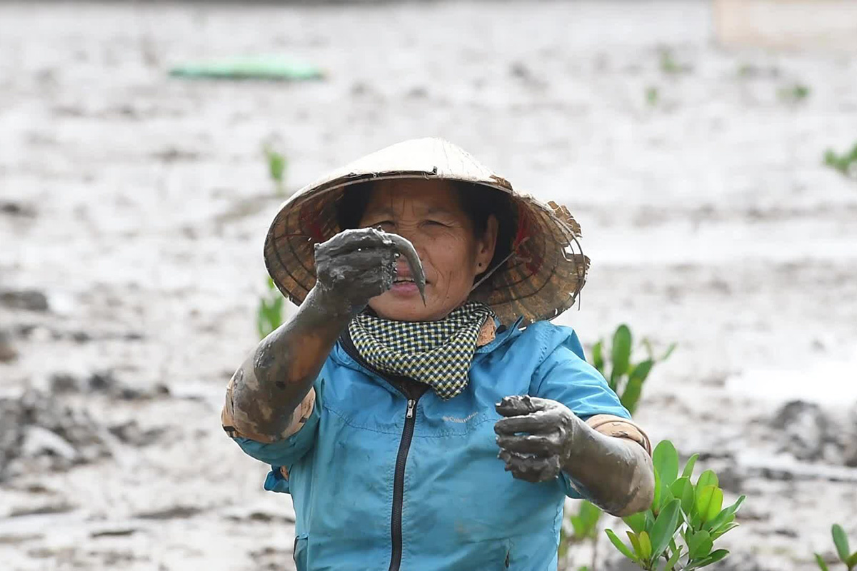 bắt cá thòi lòi