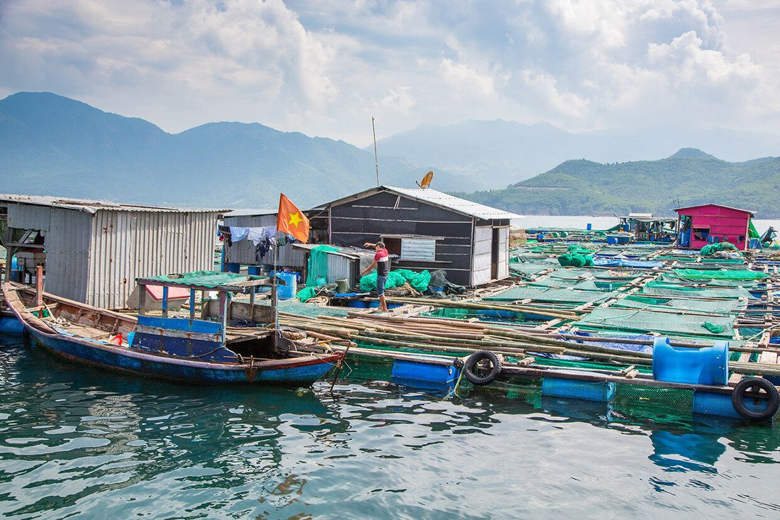 nuôi cá lồng trên sông