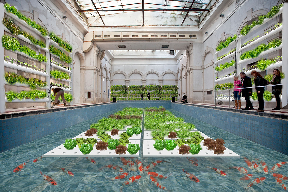 aquaponic