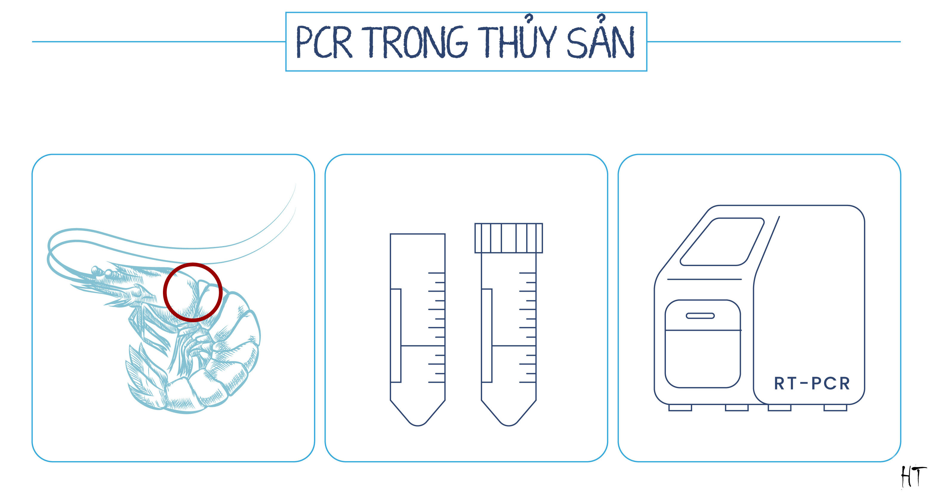 PCR trong thủy sản