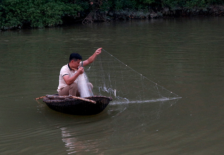 giăng câu thả lưới