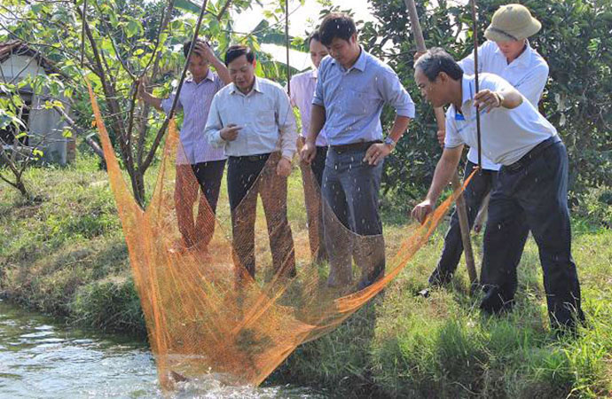 thu hoạch cá