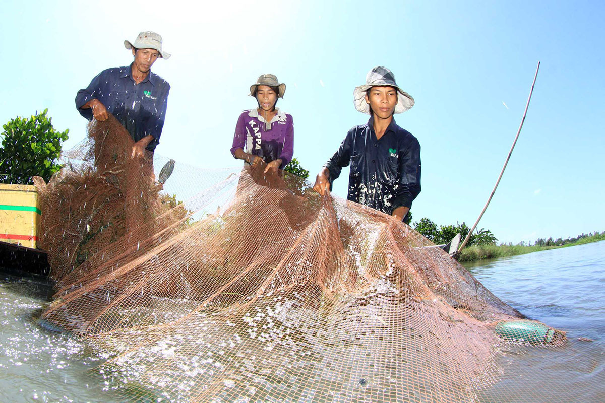 bắt cá mùa nước nổi