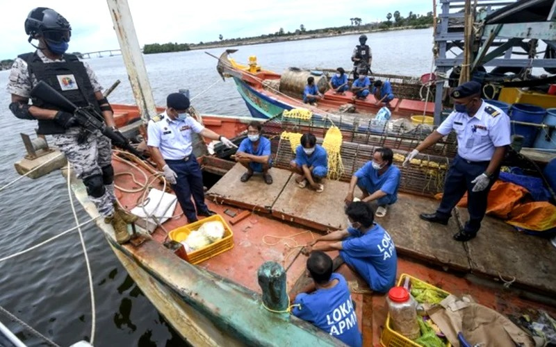 tài cá vi phạm