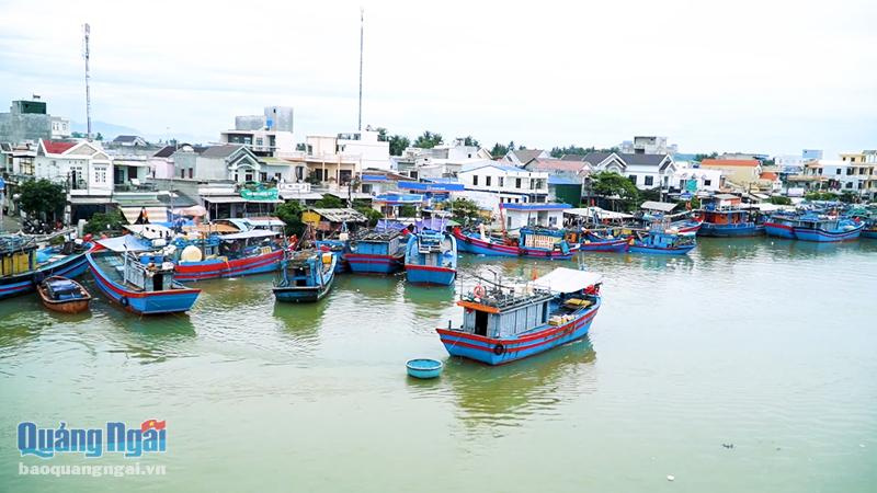 tàu đánh bắt cá