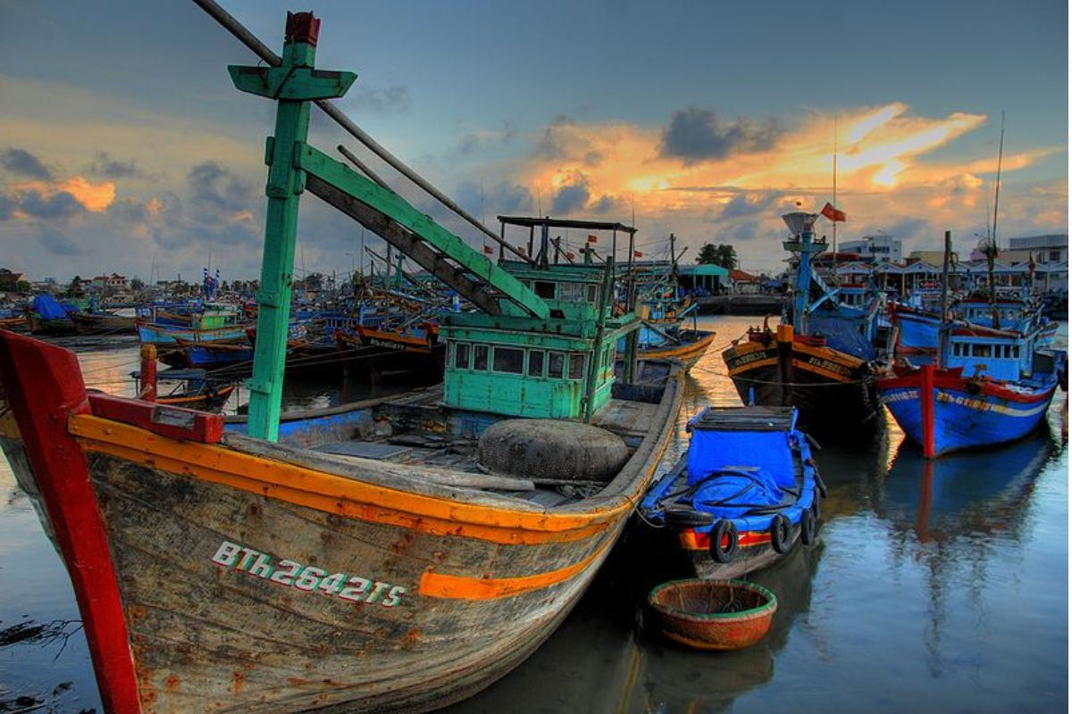 Cảng cá Việt Nam