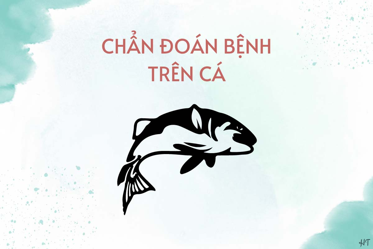 chẩn đoán bệnh cá