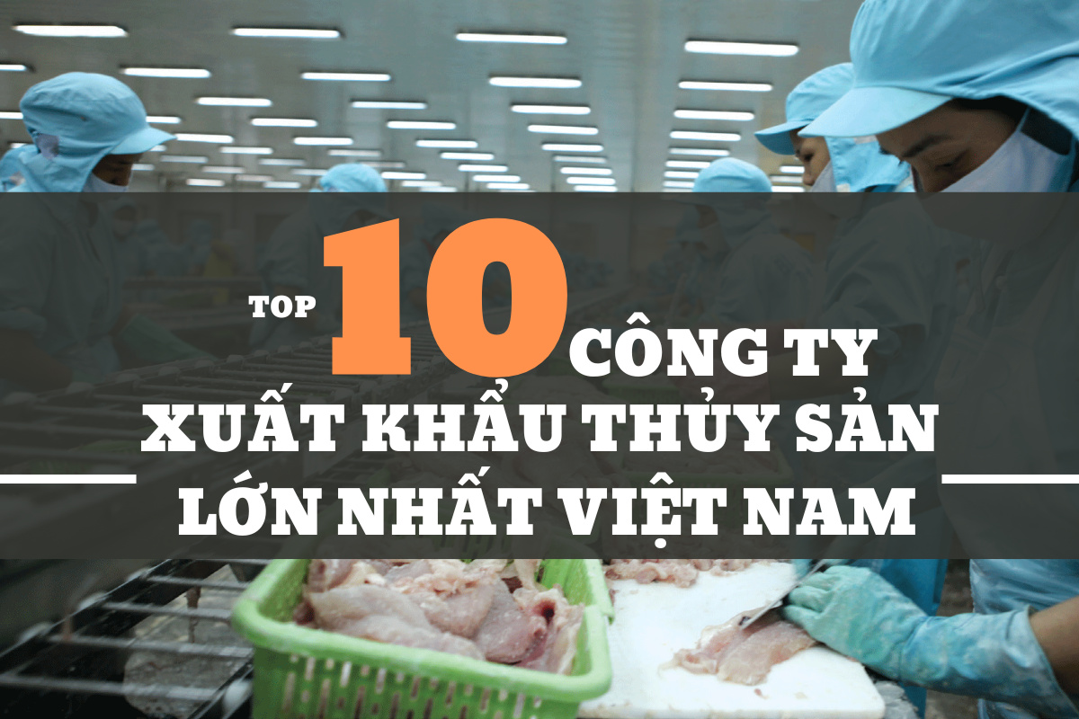 Top 10 Công ty Xuất khẩu Thủy sản lớn nhất Việt Nam