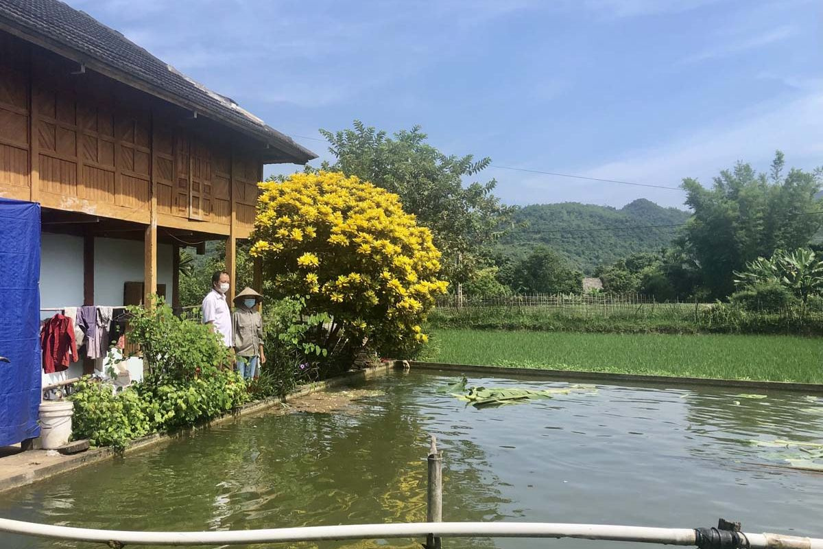 Mô hình nuôi cá dầm xanh