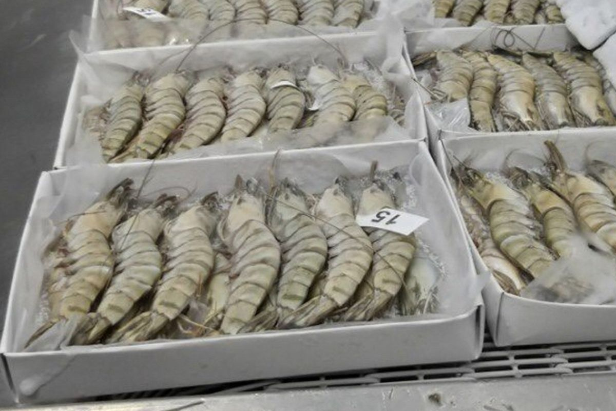 Chỉ vì cái khay nhựa, một doanh nghiệp thuỷ sản Việt mất thị trường xuất khẩu vào EU. Ảnh: cityfood.vn