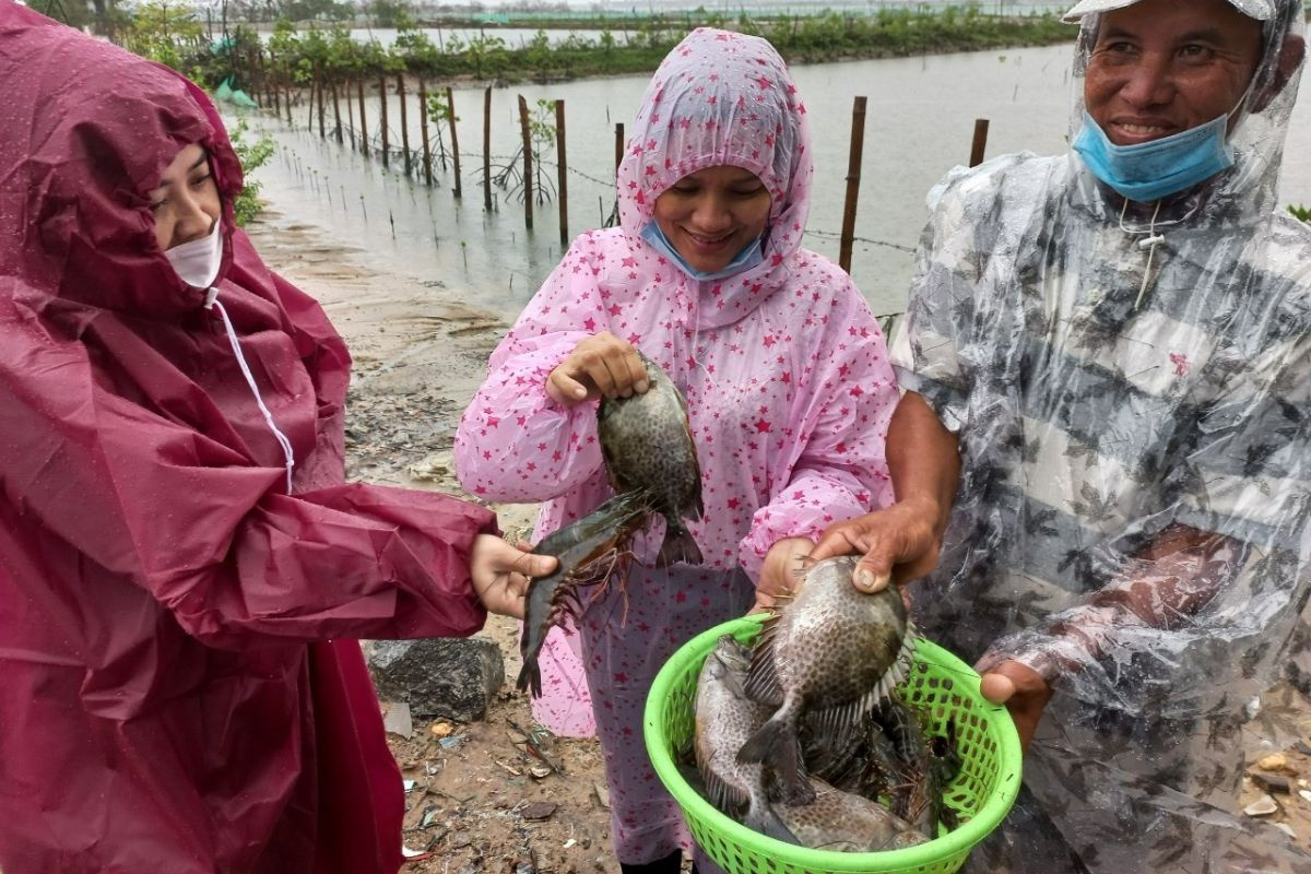 Nuôi xen ghép tôm, cua, cá. Ảnh: baoquangnam.vn