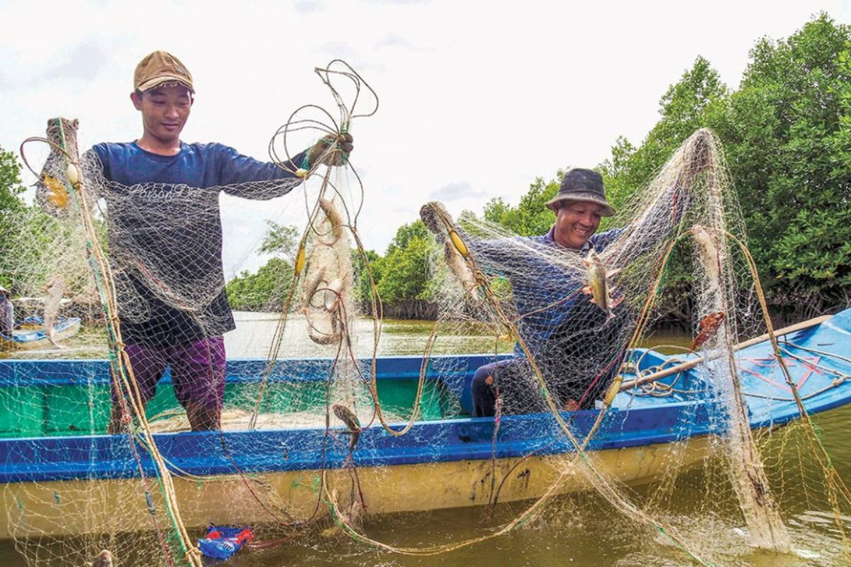 Giăng lưới bắt cá úc