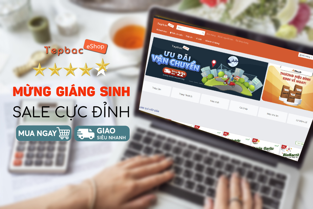 Mừng giáng sinh sale cực đỉnh