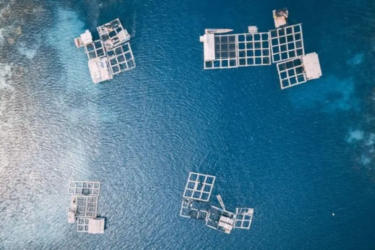 Nuôi trồng thủy sản