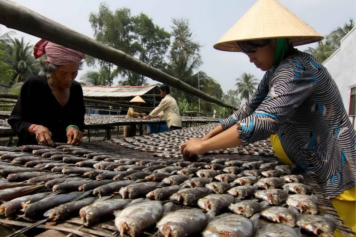 Cá khô gây cao huyết áp