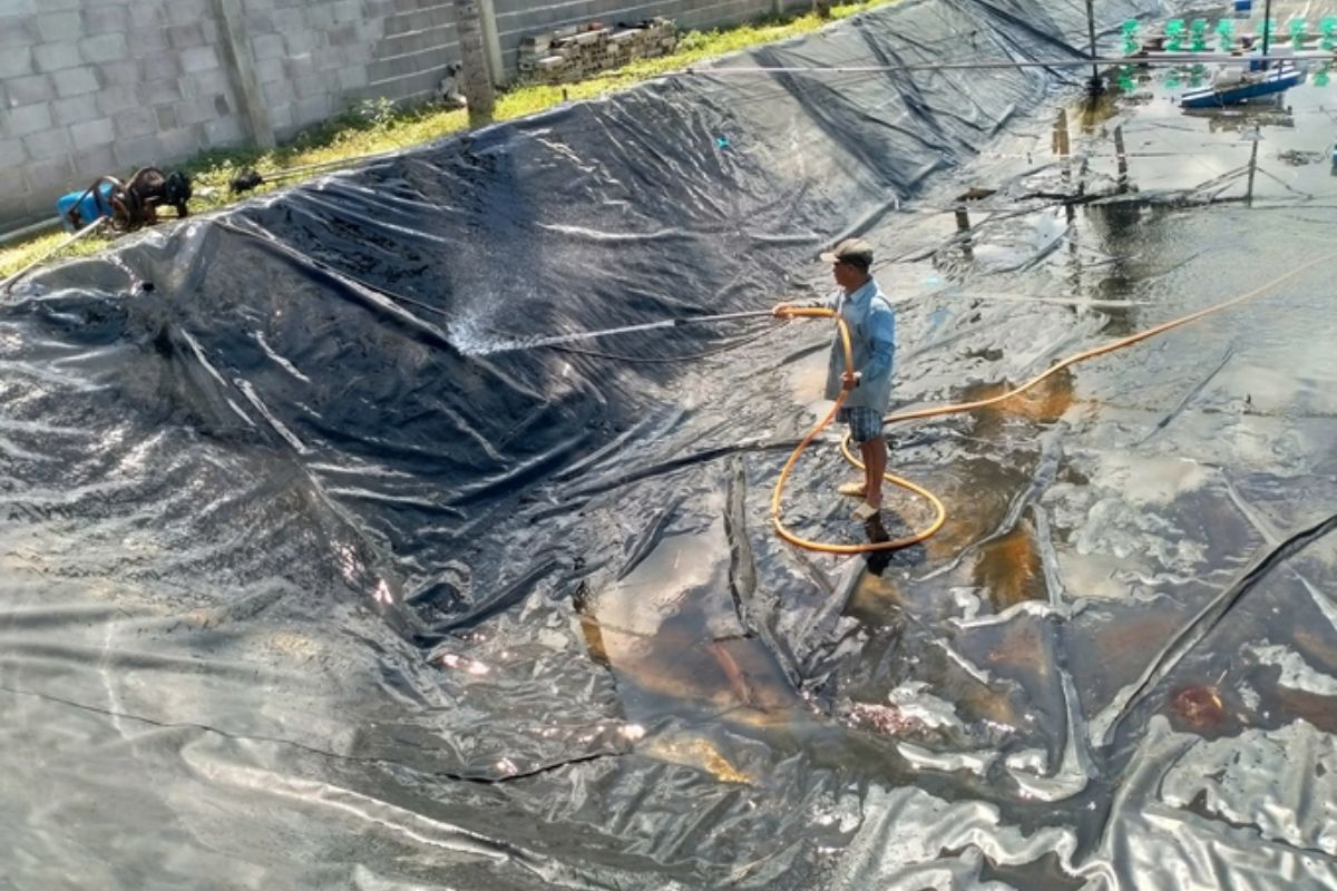 Cải tạo ao nuôi