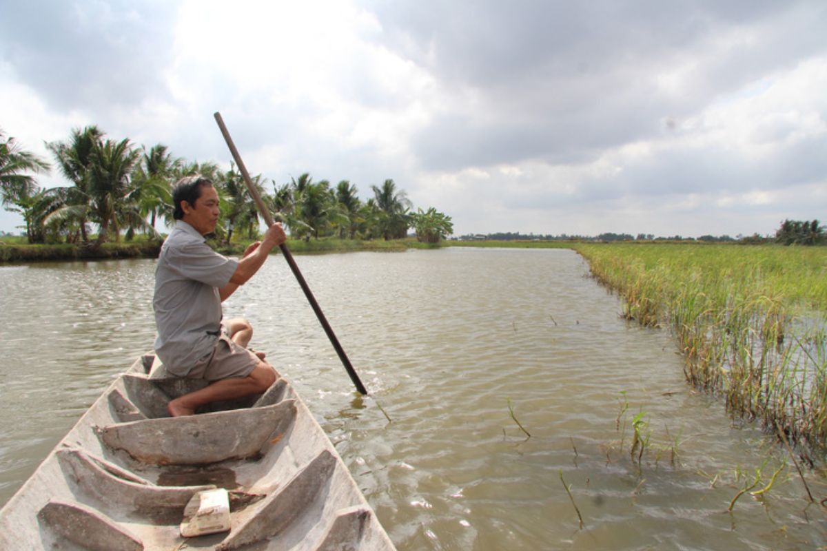 Mặn ngập sâu